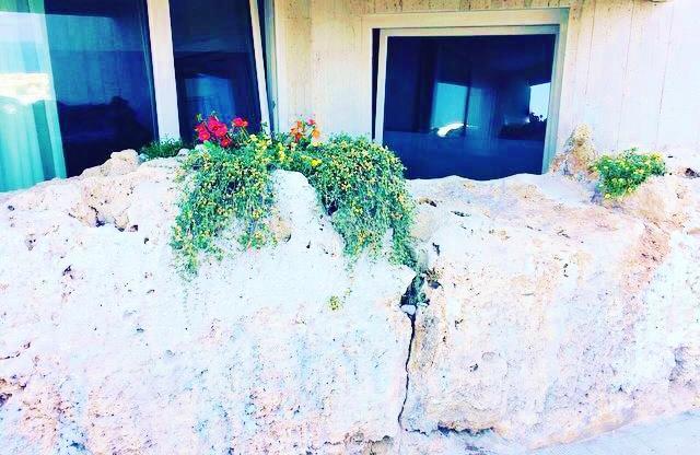 Dimora Silcla1 Villa Polignano a Mare Eksteriør bilde